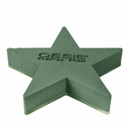 OASIS® BIOLINE® Star - 30 x 30 x 4.5 cm - 2 pieces