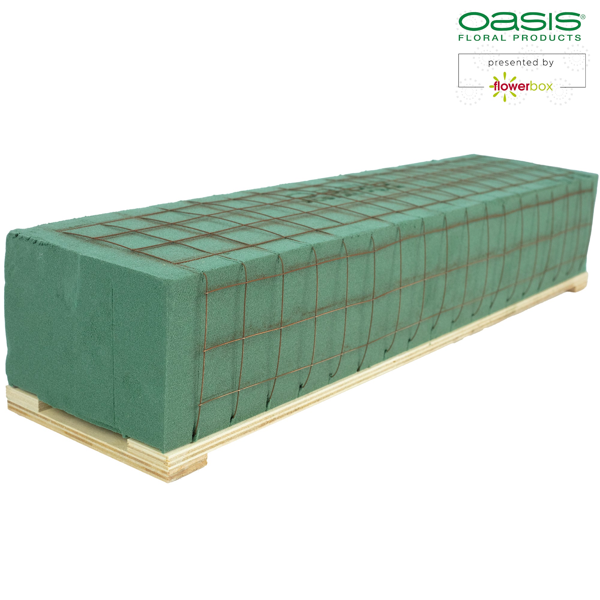 Raquette OASIS® Readyfix - 46 x 11 x 8,5 cm - pour 2 briques - 2 pièces