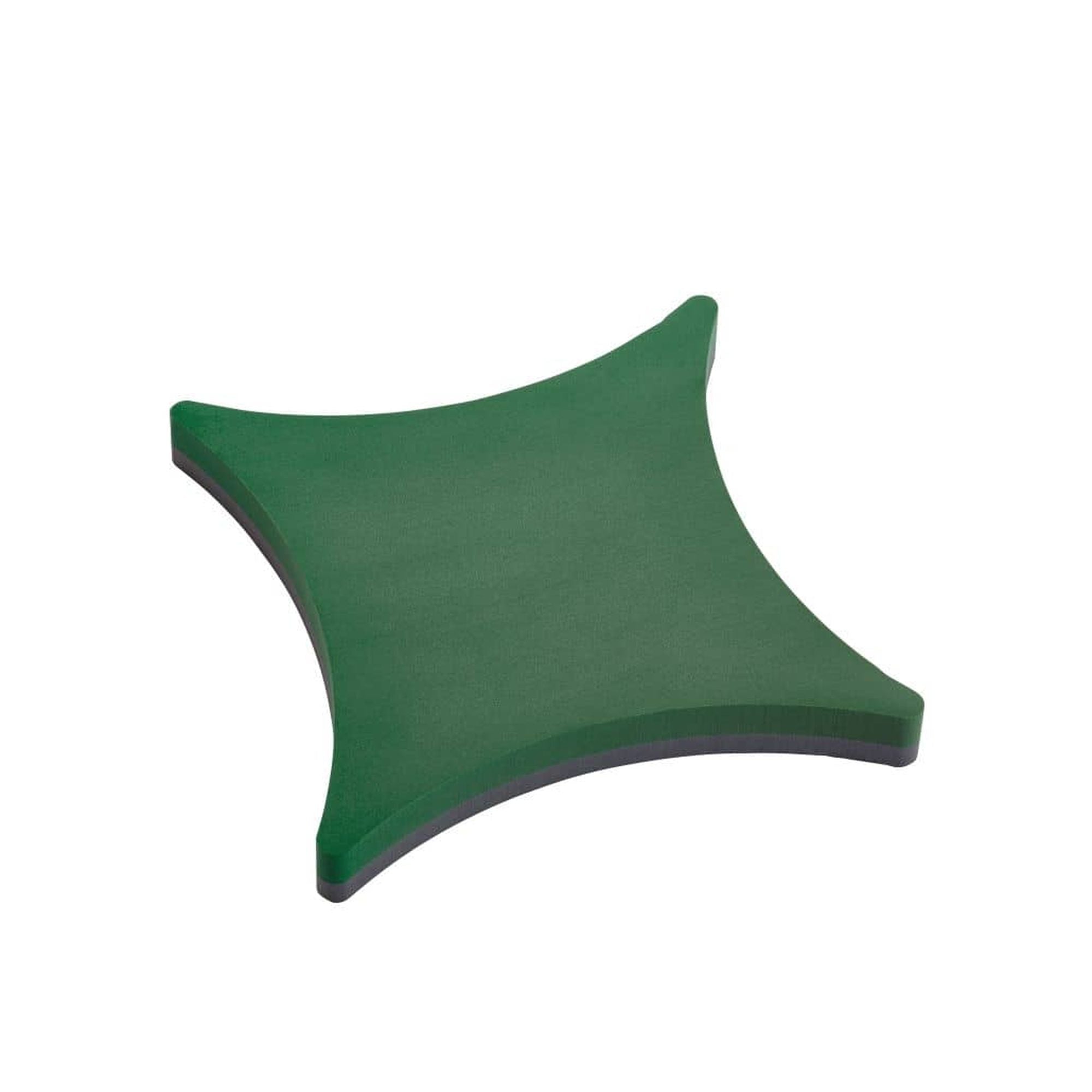 Coussins OASIS® FOAM FRAMES® - 38 x 38 x 6 cm - 2 pièces.