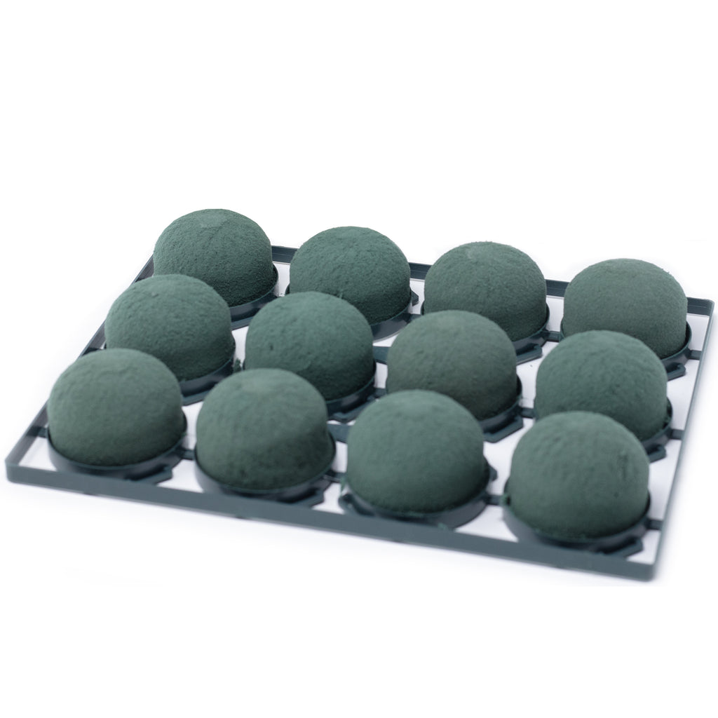 OASIS® Mini Deco IDEAL - 3,5 x 5cm Ø - 12 St.