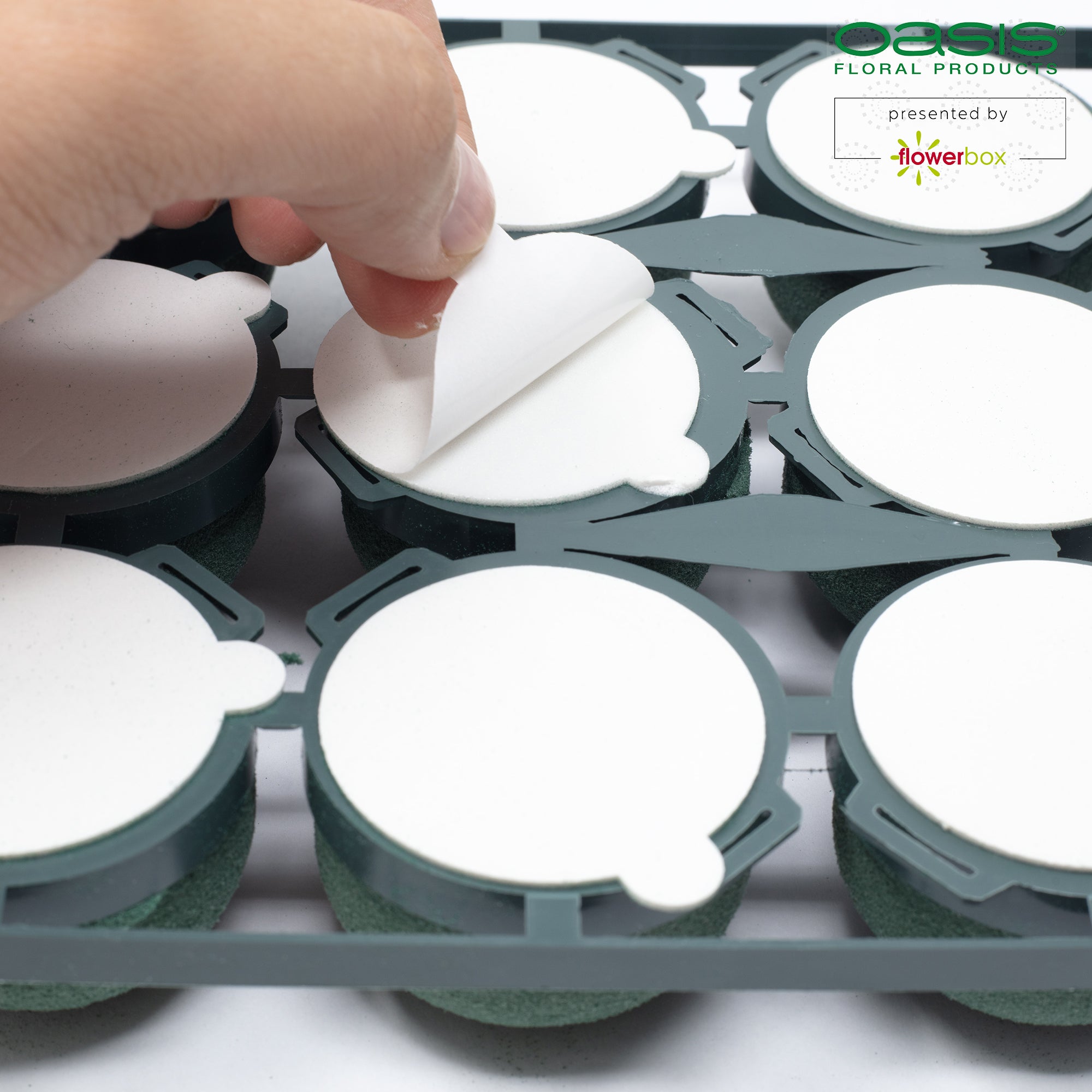 OASIS® Mini Deco IDEAL - 3,5 x 5cm Ø - 12 St.