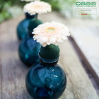 OASIS® Mini Deco IDEAL - 3,5 x 5cm Ø - 12 St.