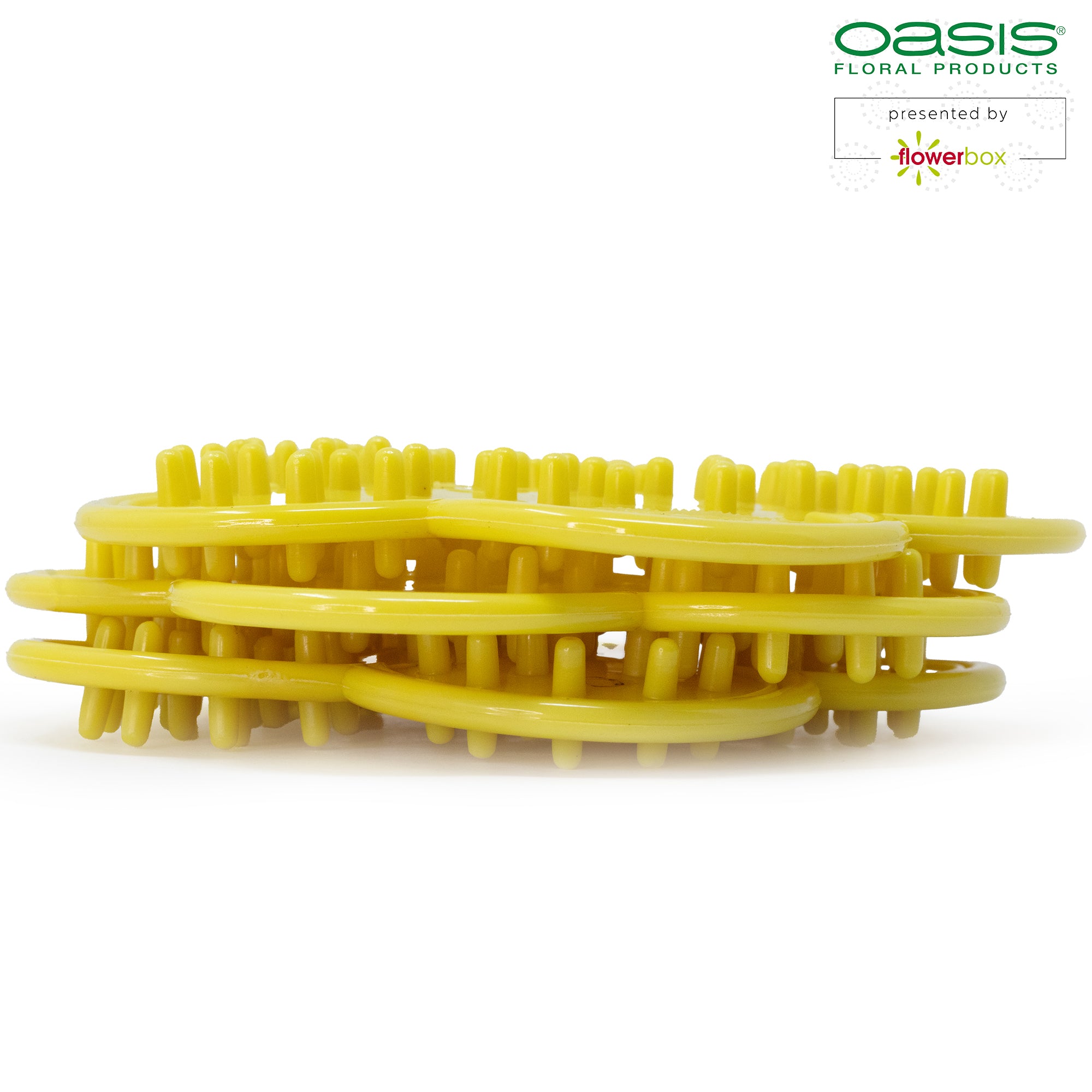 OASIS® Blatt- und Dornenentferner - 3 Stück