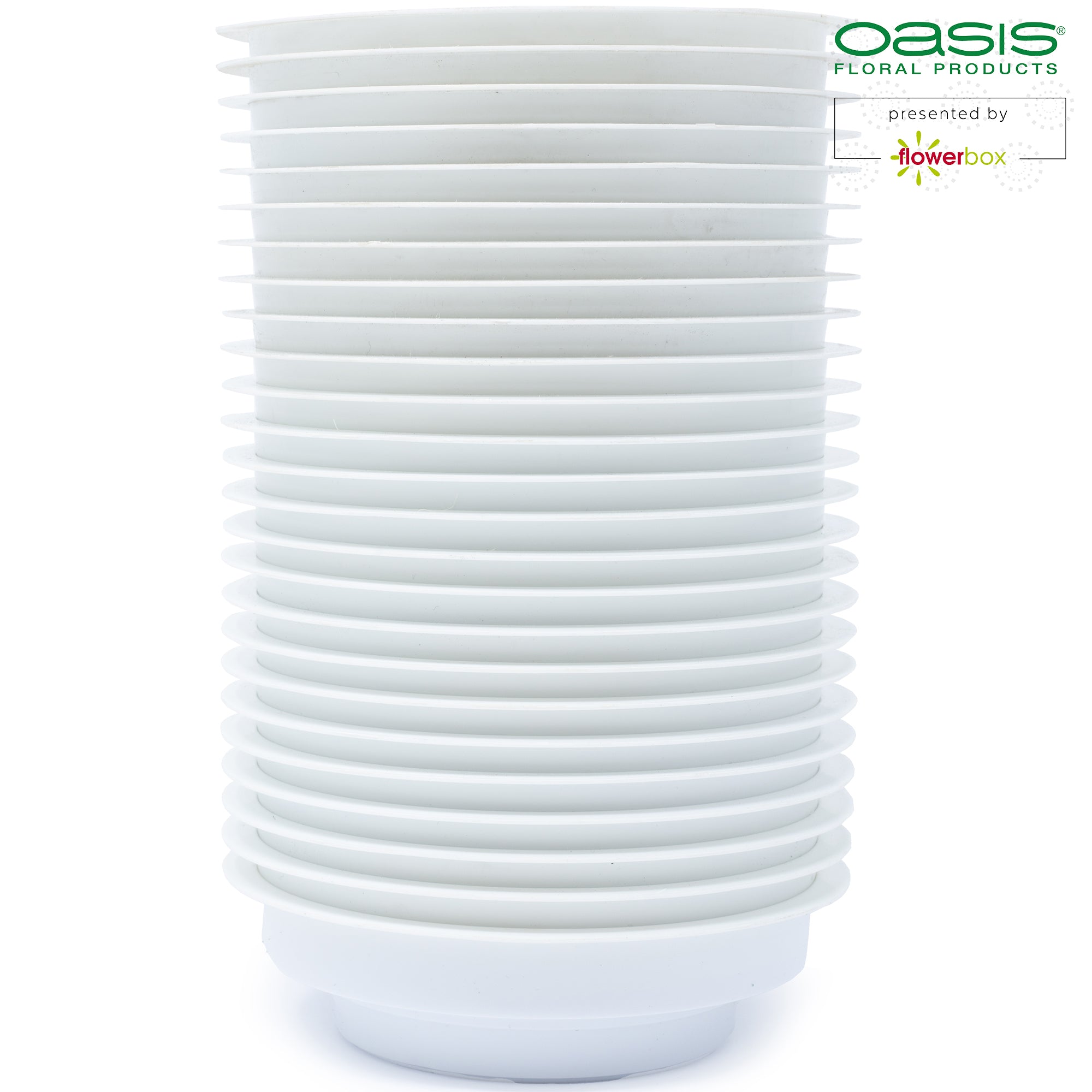 OASIS® Junior Schale, 3 x 12 cm Ø, Weiß