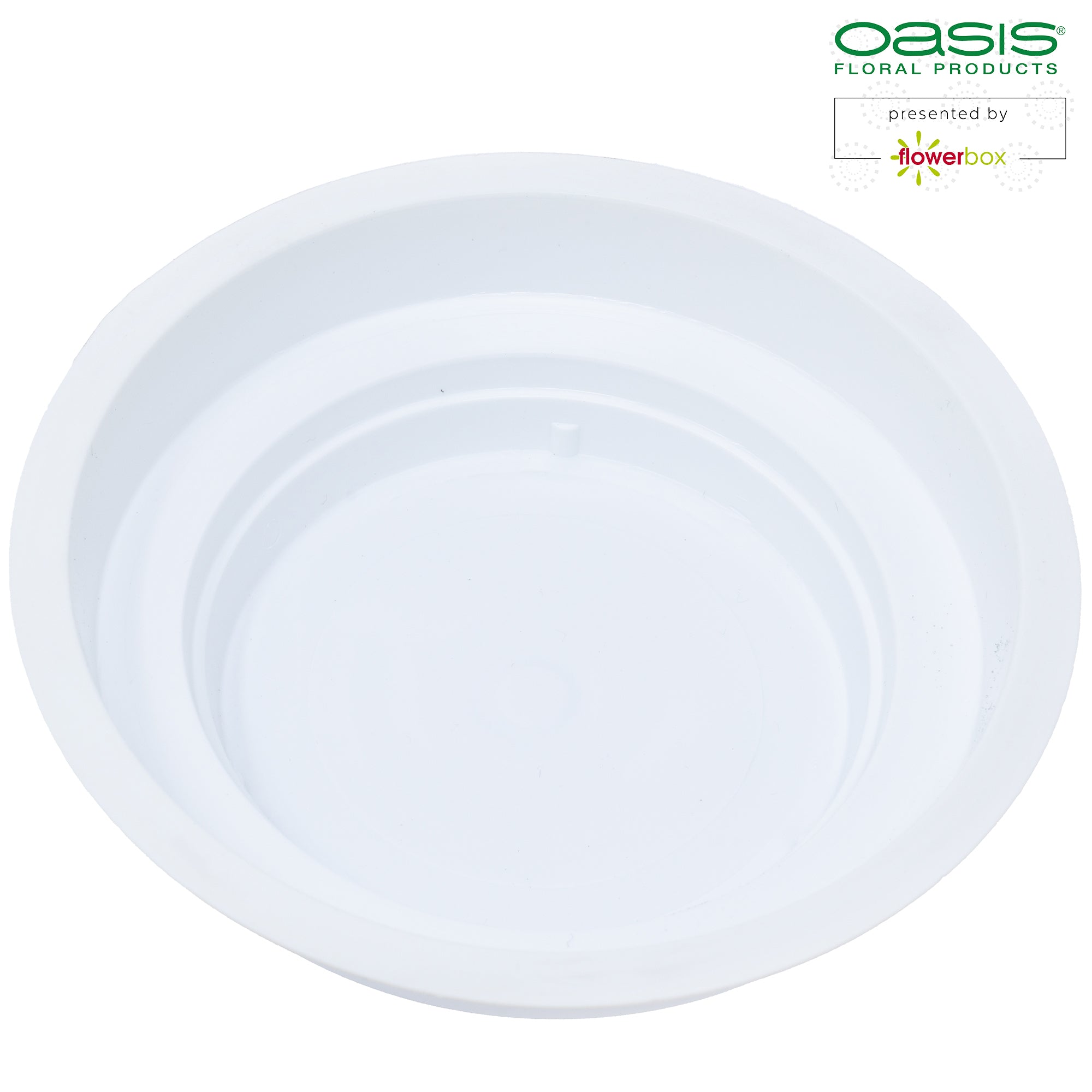 OASIS® Junior Schale, 3 x 12 cm Ø, Weiß