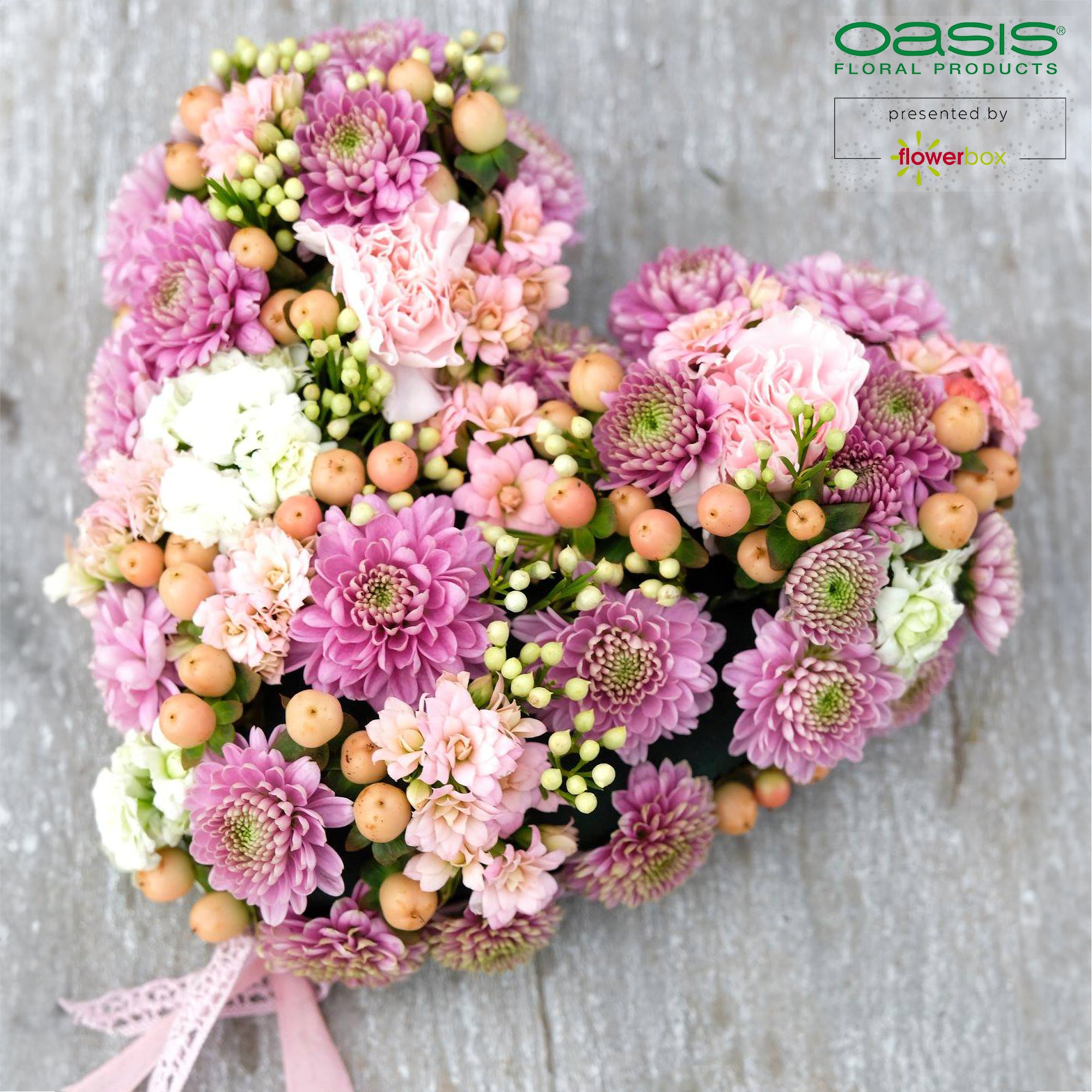 OASIS® IDEAL Herzen - 12 x 14 x 3,5cm - 6 St.