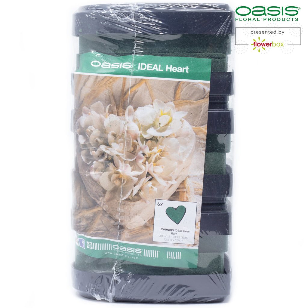 OASIS® IDEAL Herzen - 12 x 14 x 3,5cm - 6 St.