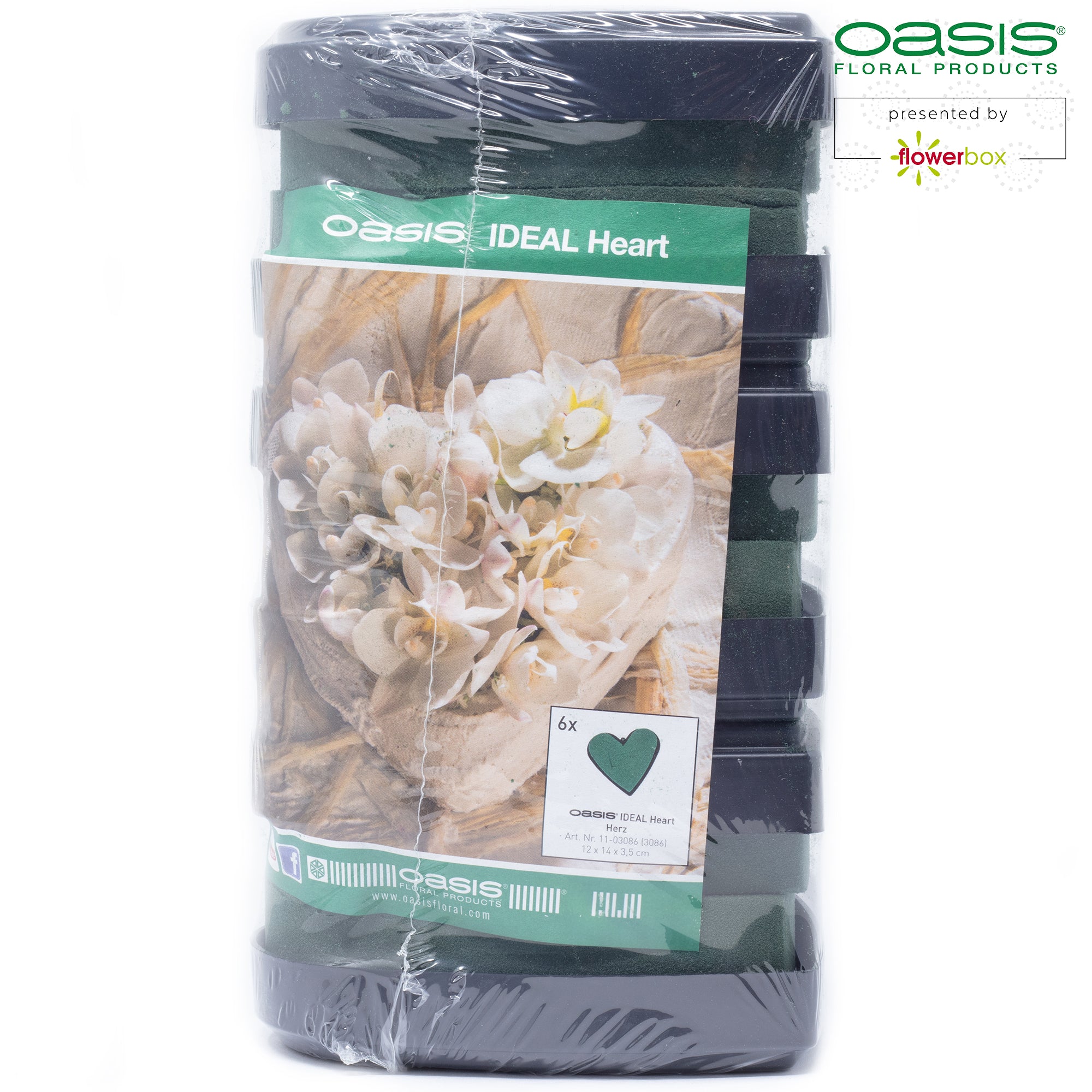 OASIS® IDEAL Herzen - 12 x 14 x 3,5cm - 6 St.