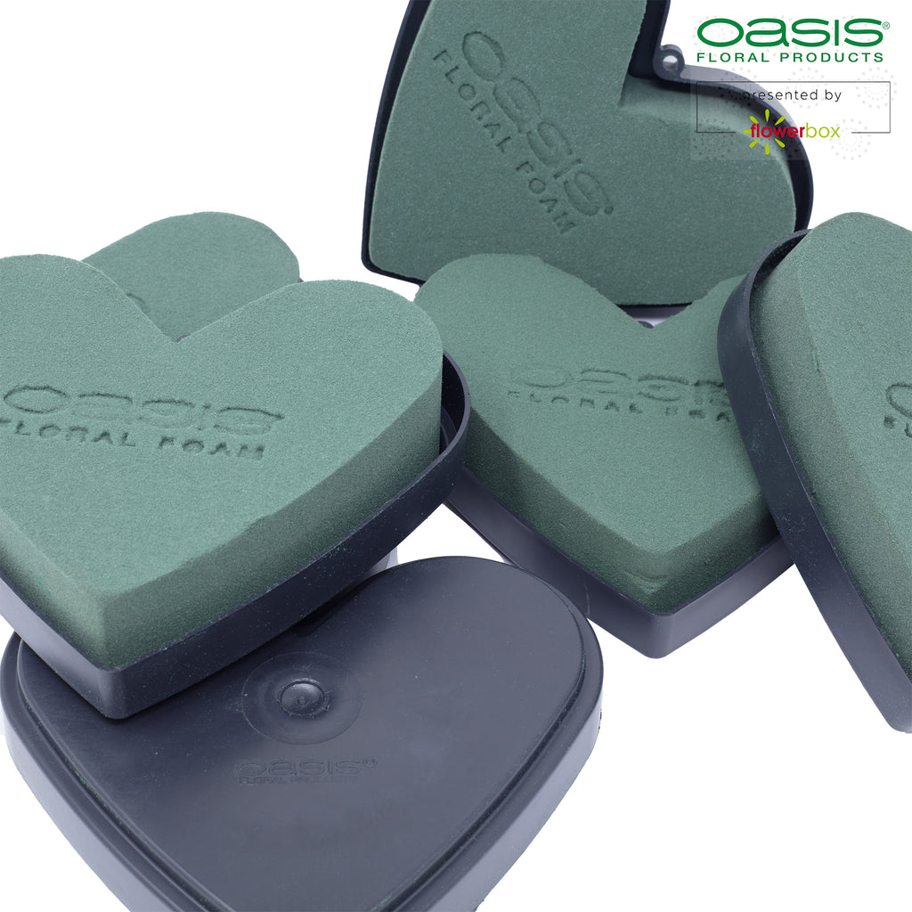 OASIS® IDEAL Herzen - 12 x 14 x 3,5cm - 6 St.