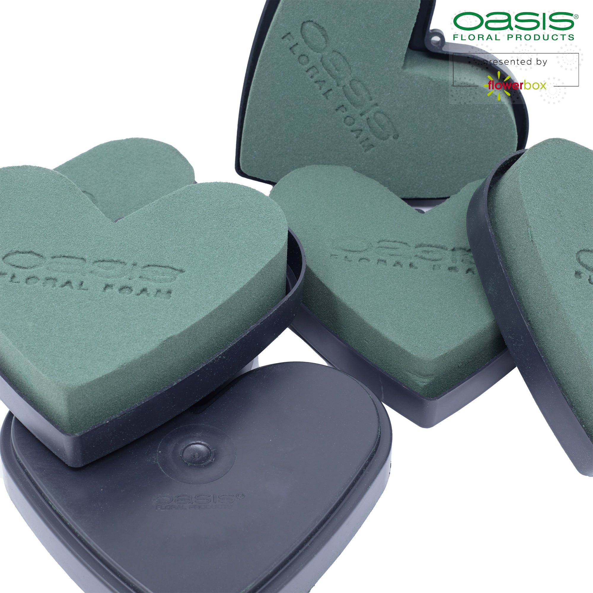 OASIS® IDEAL Herzen - 12 x 14 x 3,5cm - 6 St.