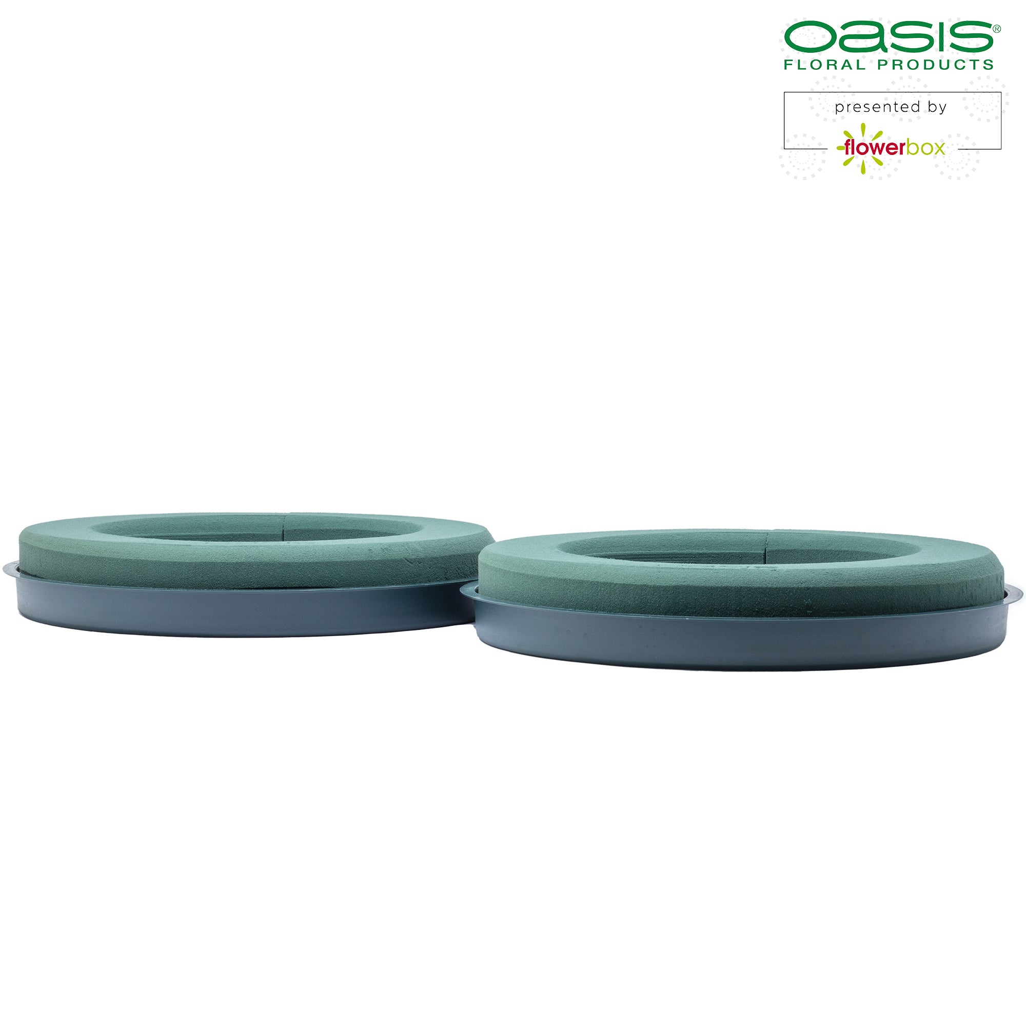 OASIS® IDEAL Design Ring - 4,5 x 30cm Ø - innen: 19cm Ø - 2 St.