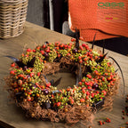 Bague OASIS® BIOLIT® - 5,5 x 32 cm Ø - intérieur : 20,5 cm Ø - 2 pièces.