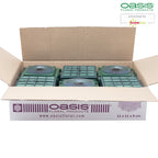 OASIS® Auto-Corso - 11 x 11 x 9cm - 6 St.