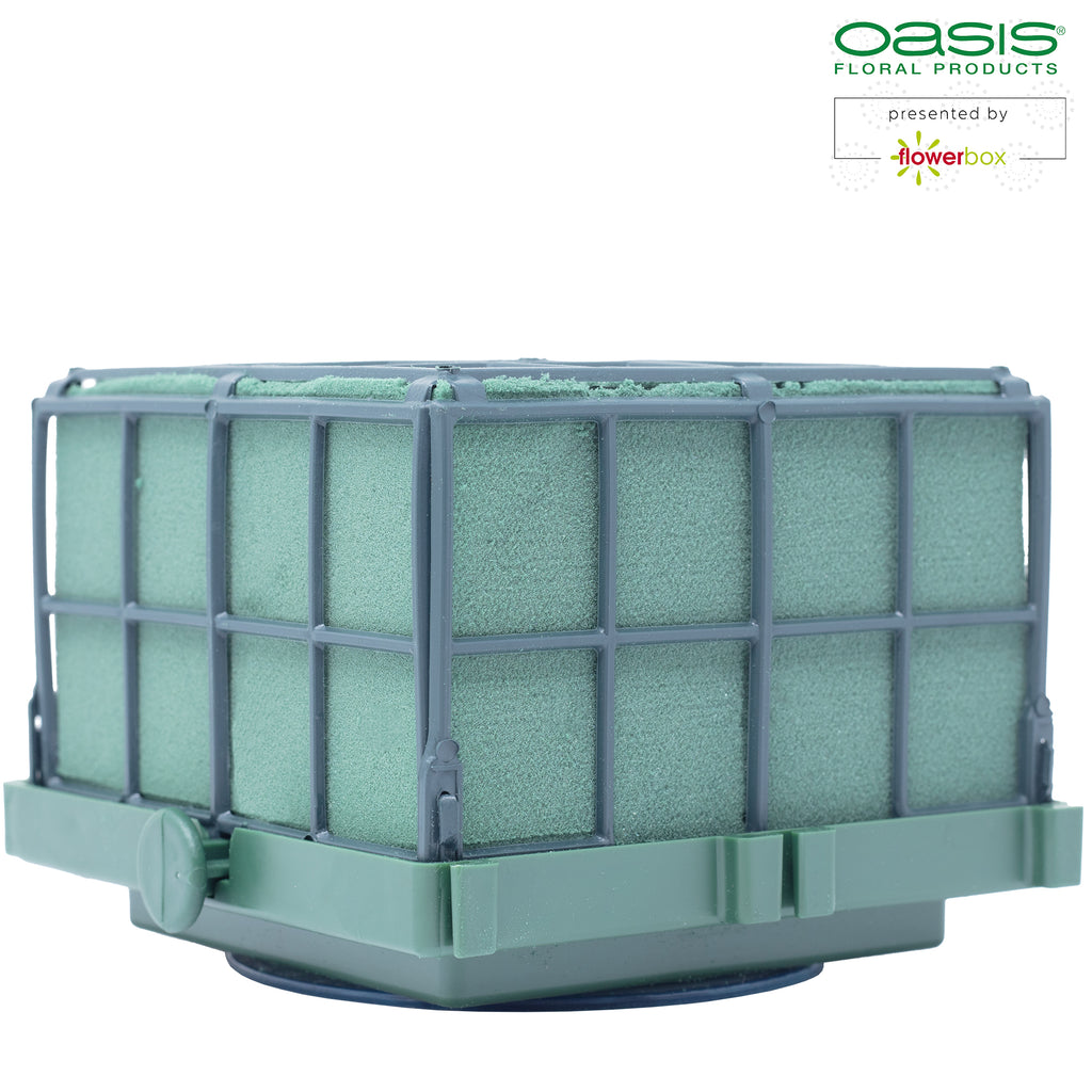 OASIS® Auto-Corso - 11 x 11 x 9cm - 6 St.