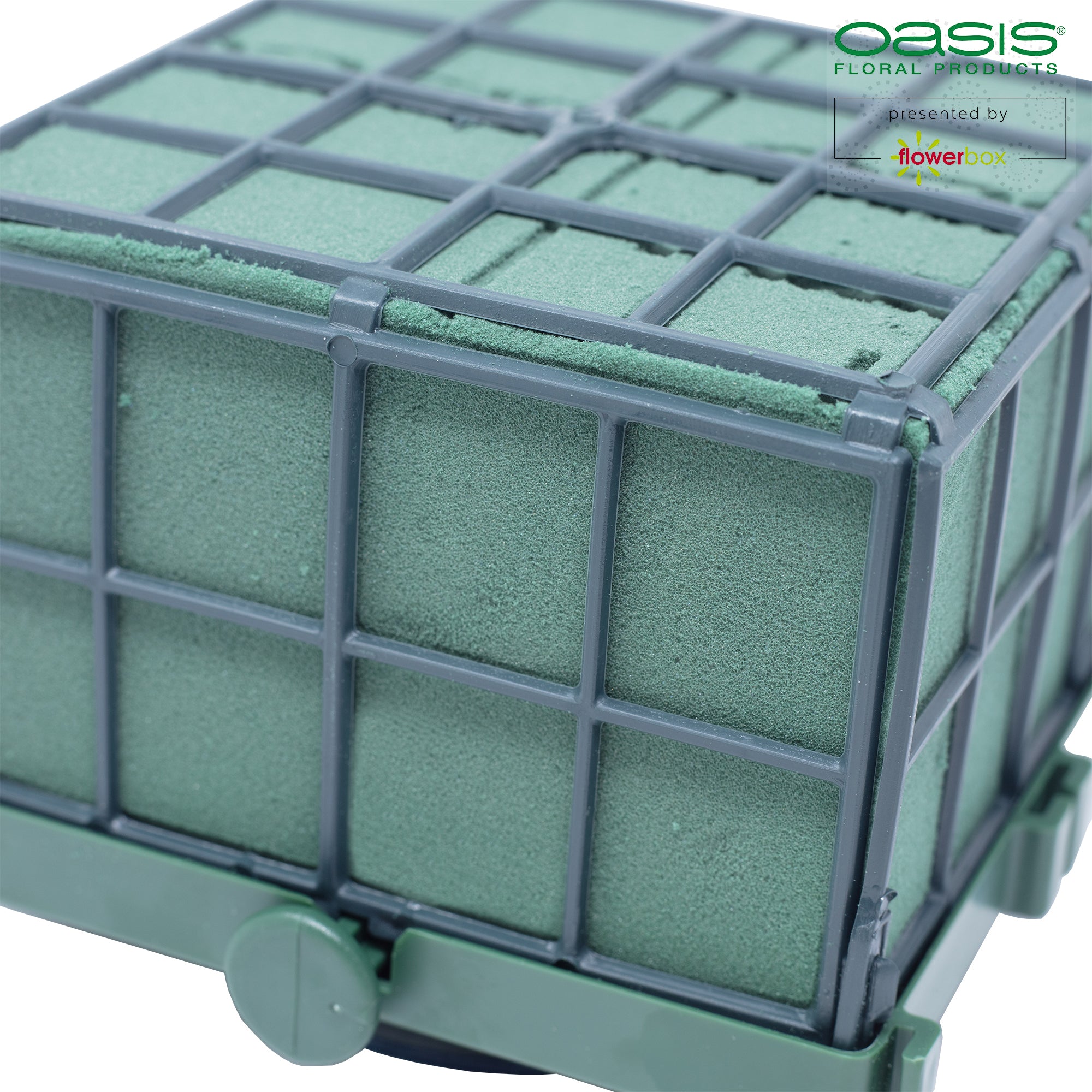 OASIS® Auto-Corso - 11 x 11 x 9cm - 6 St.