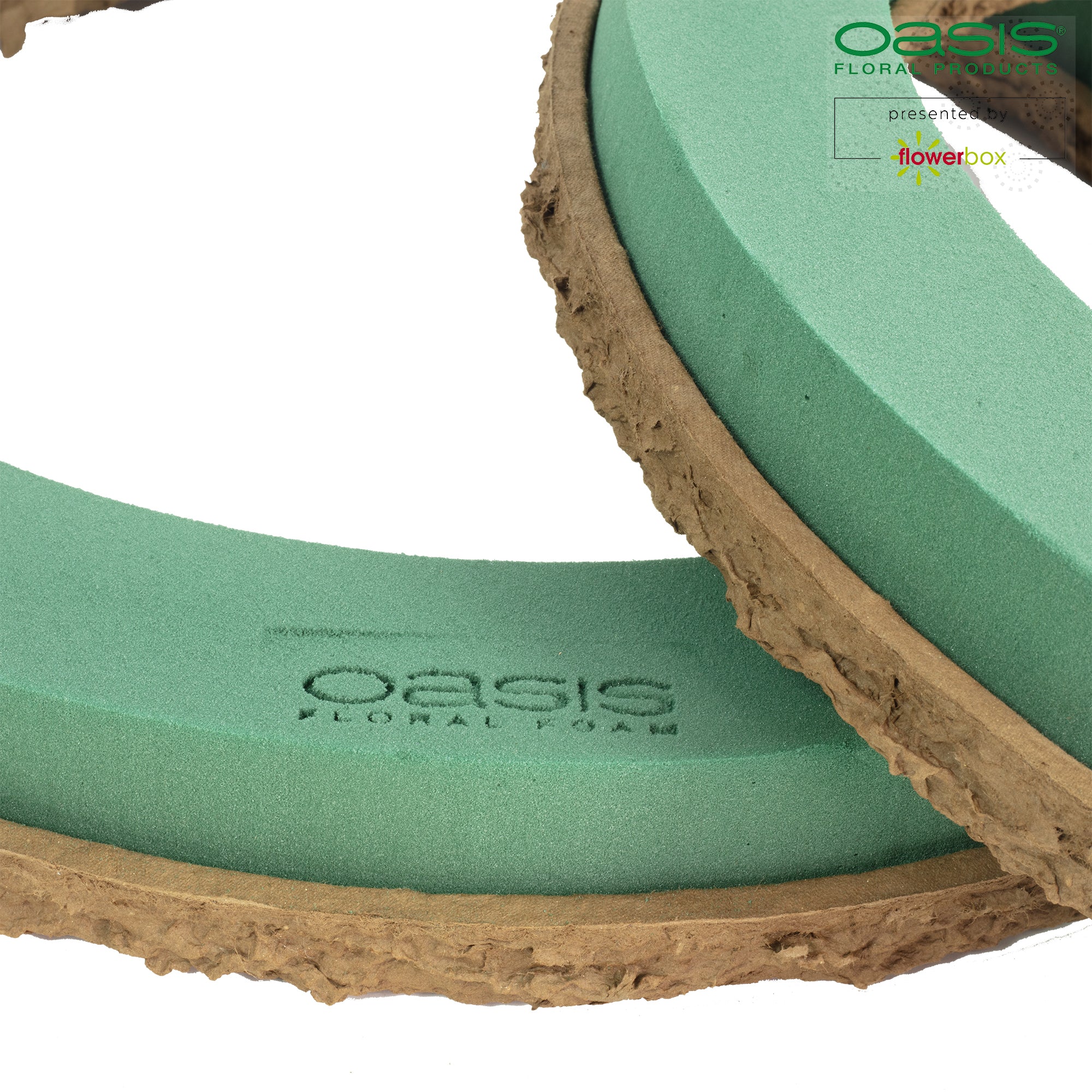 OASIS® BIOLIT® Ring - 50cm Ø - innen: 38,5cm Ø - 2 St.