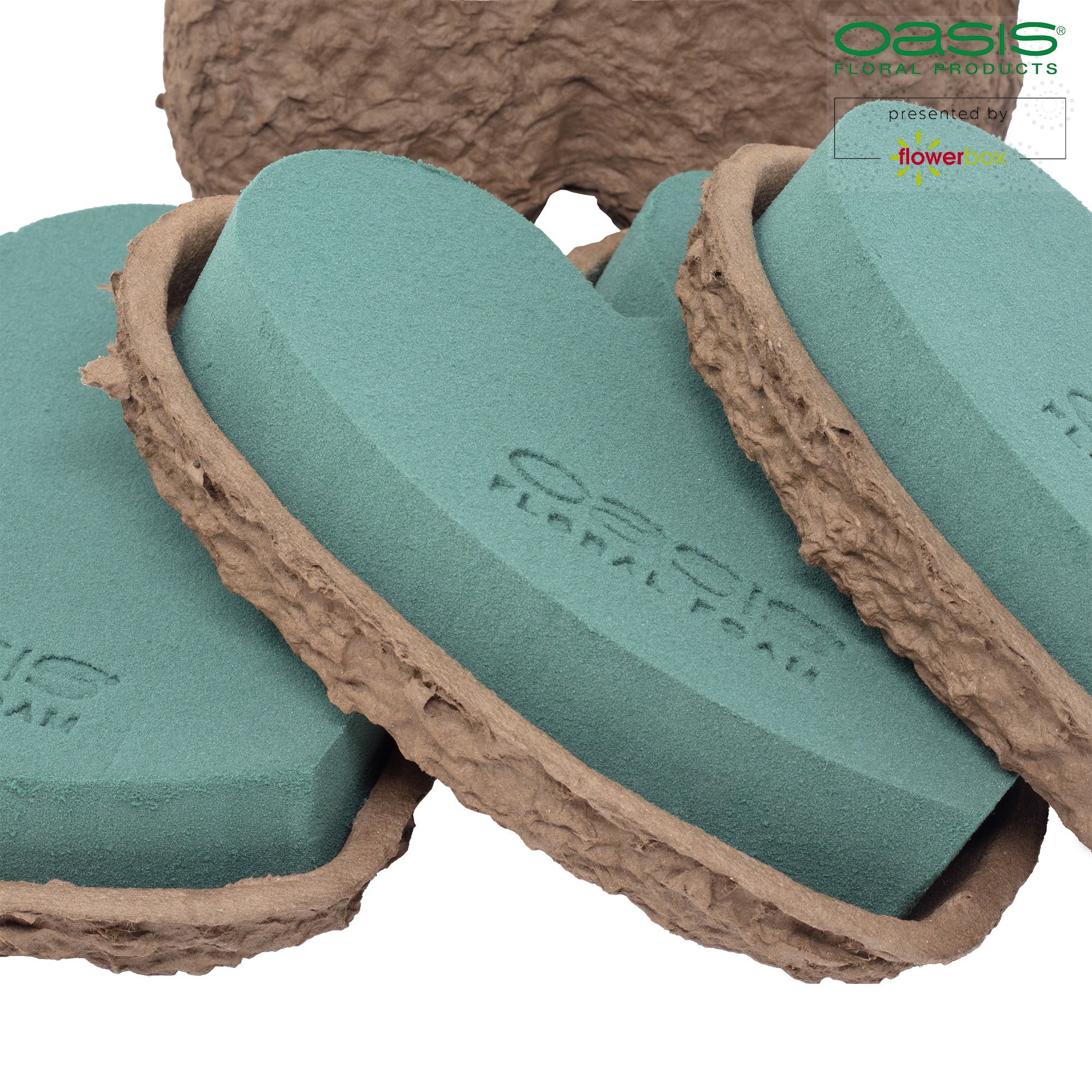 OASIS® BIOLIT® Herzen - 17 x 17 x 4cm - 4 St.