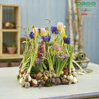 OASIS® Car Corso - 11 x 11 x 9cm - 2 pcs.