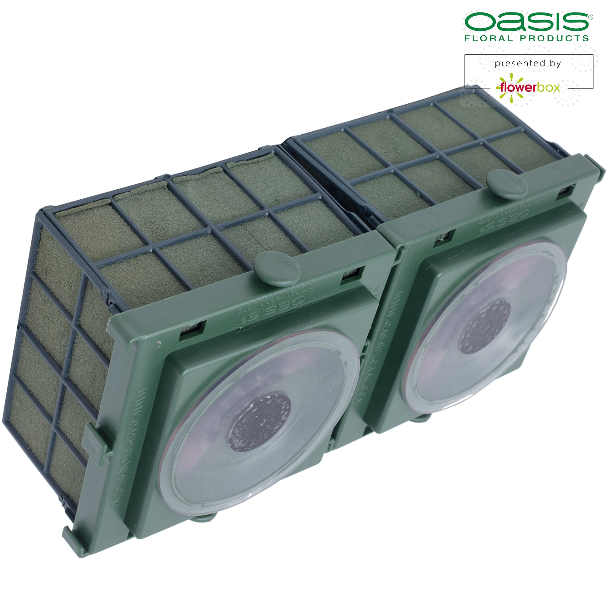 OASIS® Car Corso - 11 x 11 x 9cm - 2 pcs.