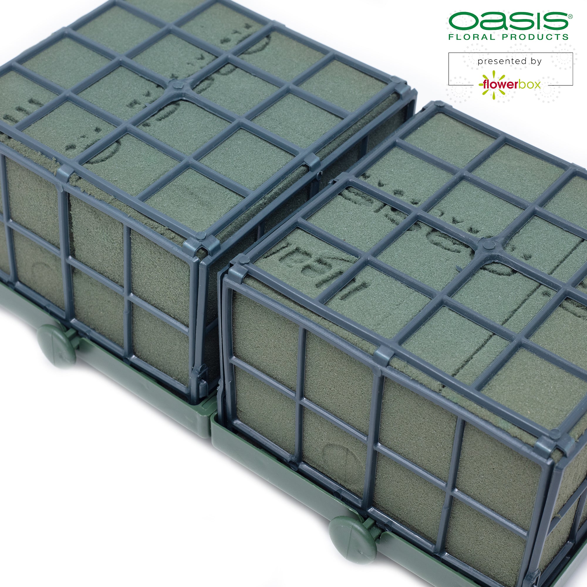 OASIS® Car Corso - 11 x 11 x 9cm - 2 pcs.