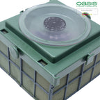 OASIS® Car Corso - 11 x 11 x 9cm - 2 pcs.