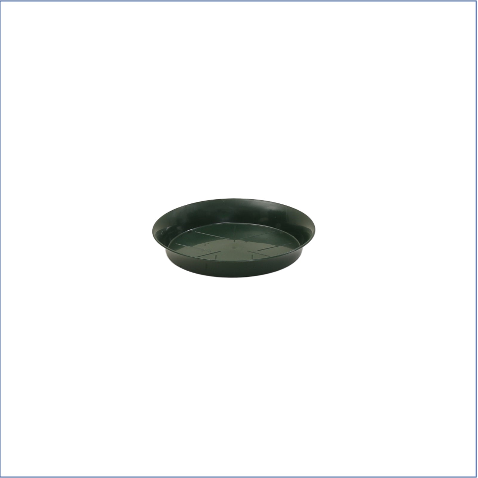 Dessous de verre standard, vert foncé - diamètre 24 cm - lot de 10