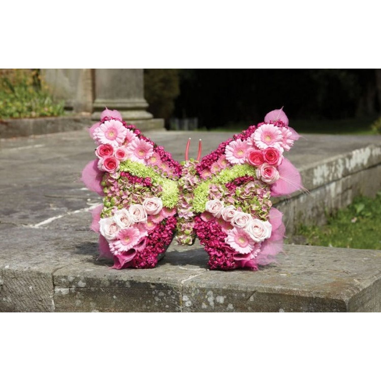 OASIS® FOAM FRAMES butterfly - 58 x 44 x 6 cm