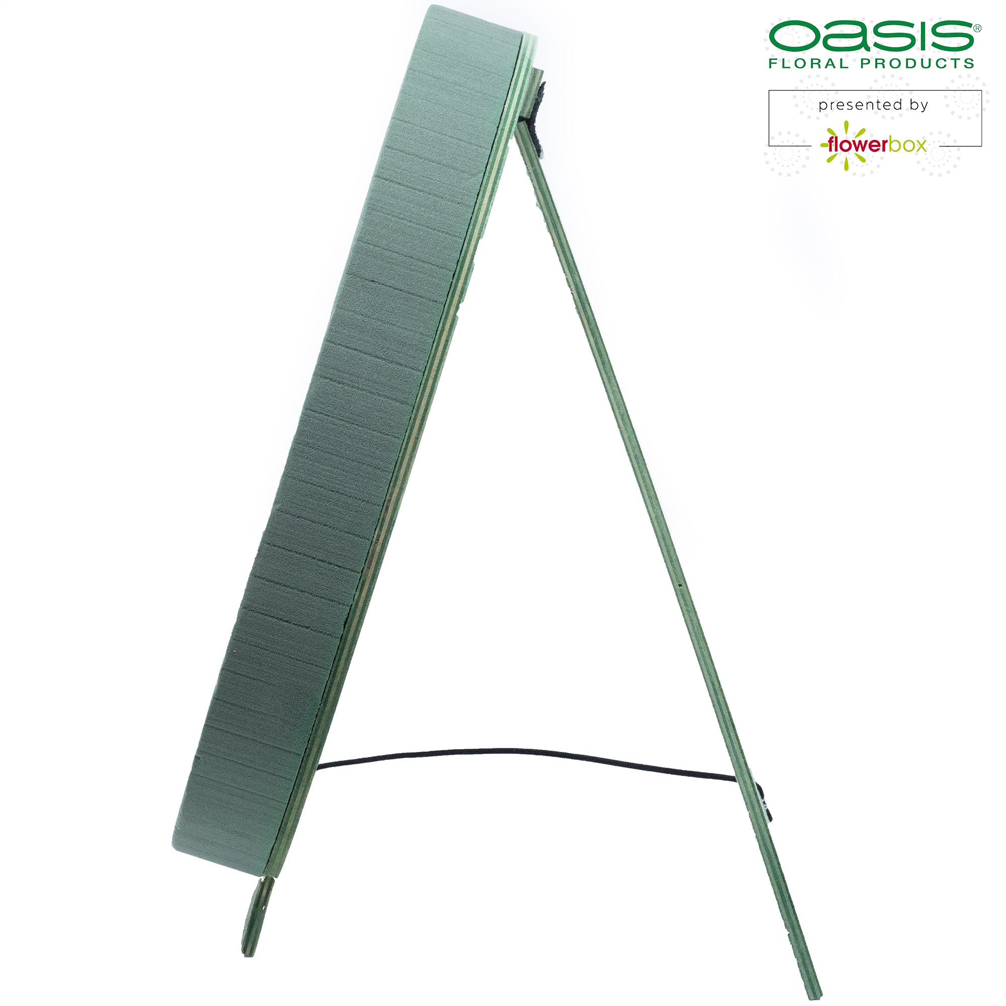 OASIS® BIOLINE® Ziffer 9 - 40 x 26 x 6 cm