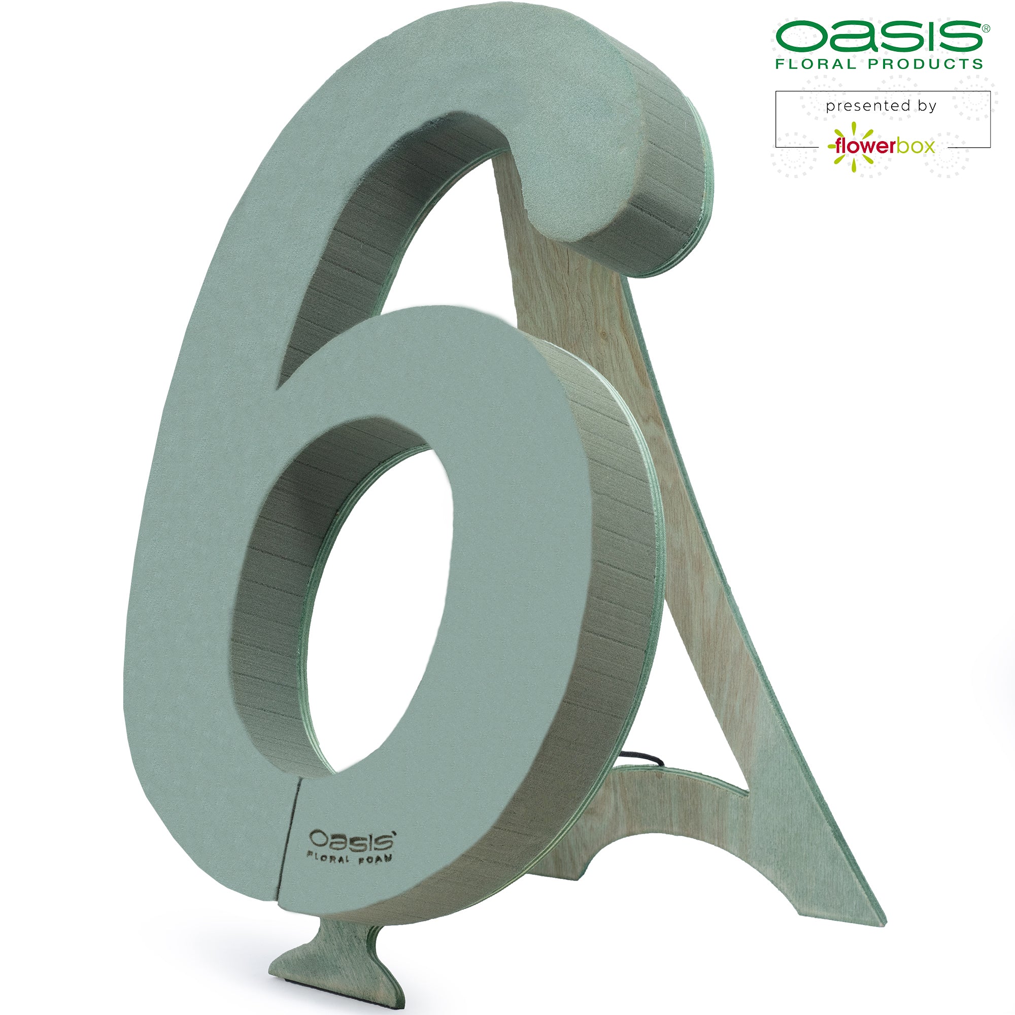 OASIS® BIOLINE® digit 6 - 40 x 26 x 6 cm