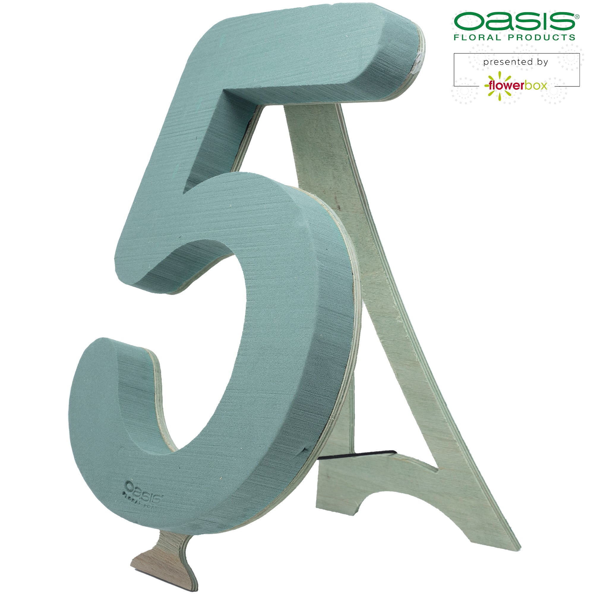 OASIS® BIOLINE® Ziffer 5 - 40 x 26 x 6 cm