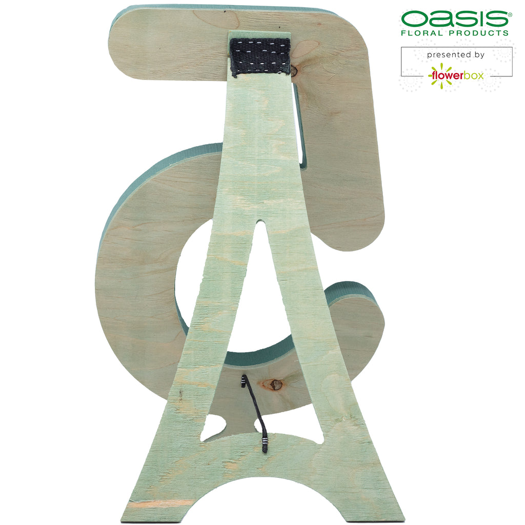 OASIS® BIOLINE® Ziffer 5 - 40 x 26 x 6 cm