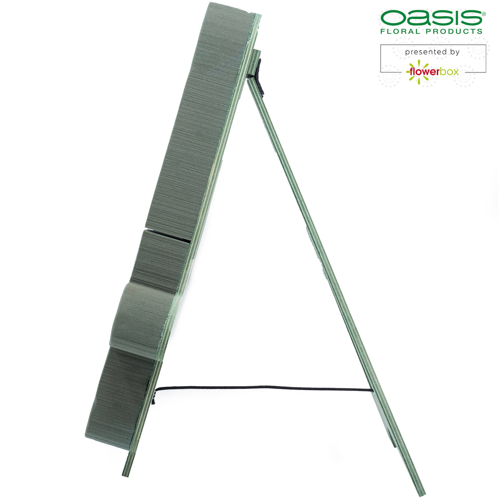 OASIS® BIOLINE® Ziffer 4 - 40 x 28 x 6 cm