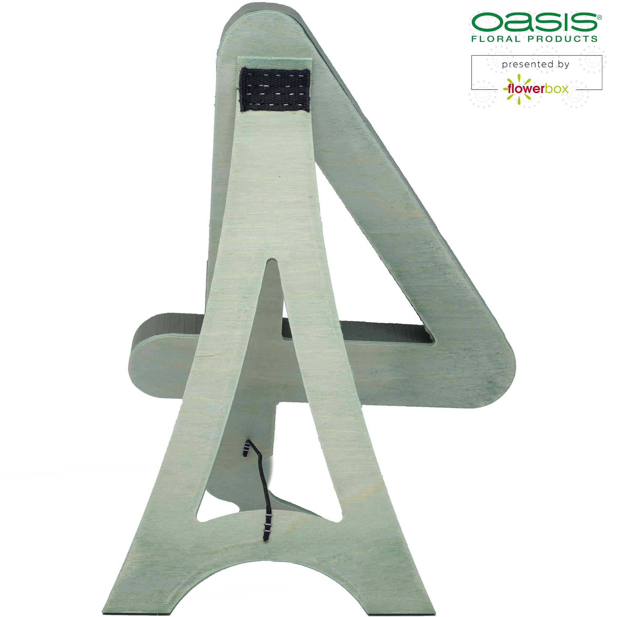 OASIS® BIOLINE® Ziffer 4 - 40 x 28 x 6 cm