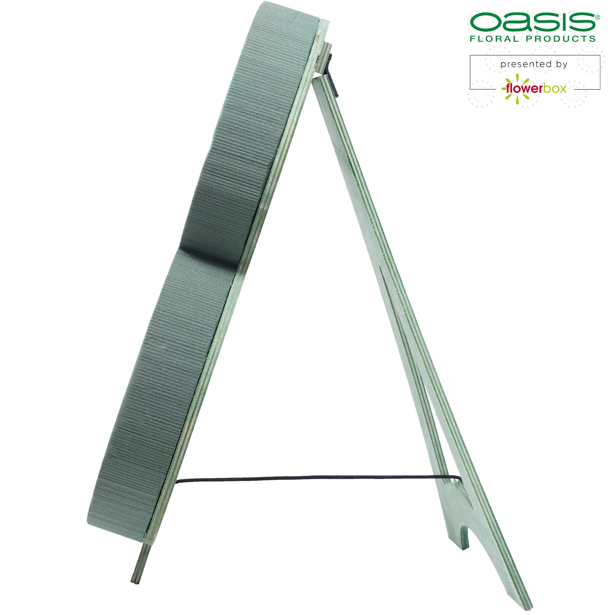 OASIS® BIOLINE® Ziffer 3 - 40 x 26 x 6 cm