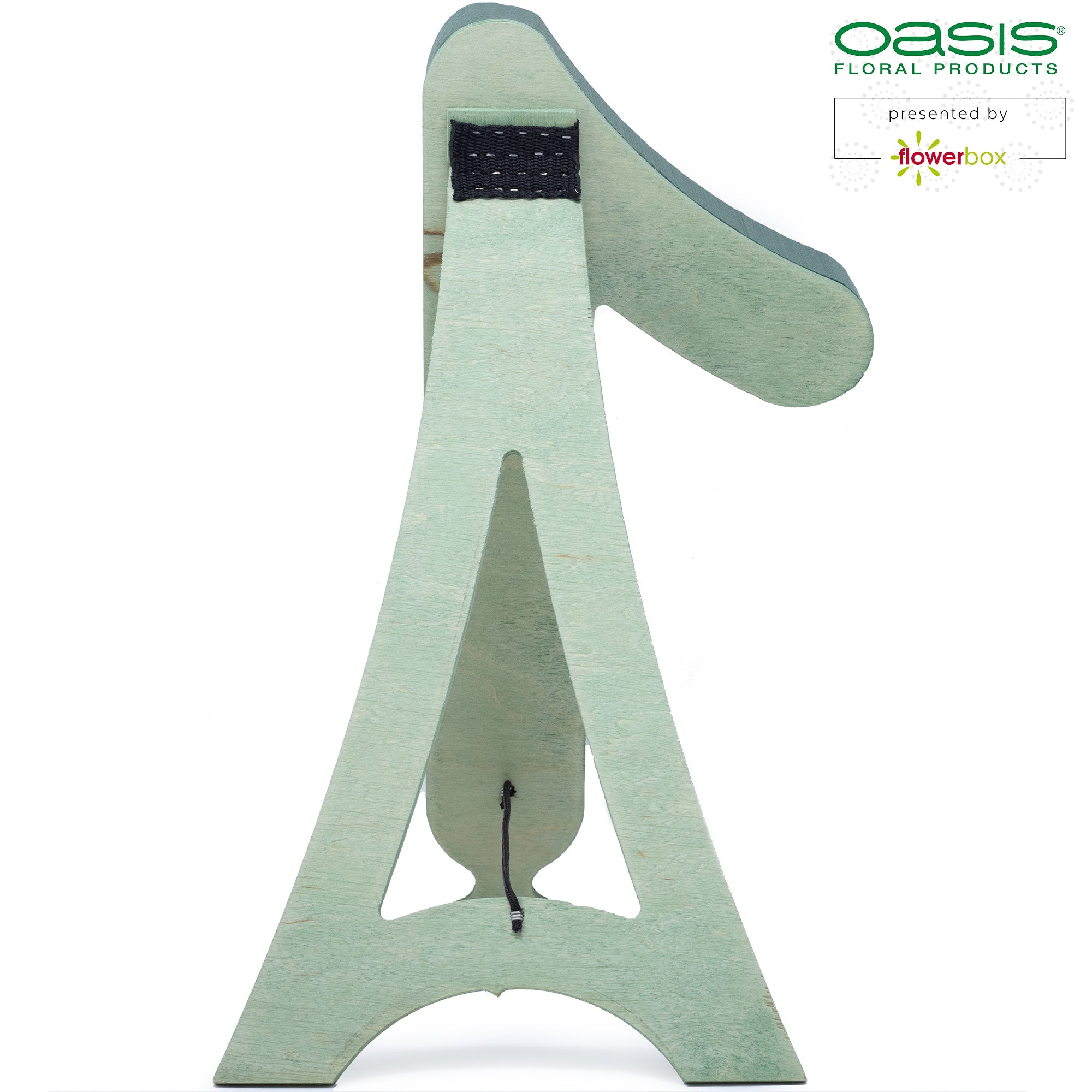 OASIS® BIOLINE® digit 1 - 40 x 22 x 6 cm
