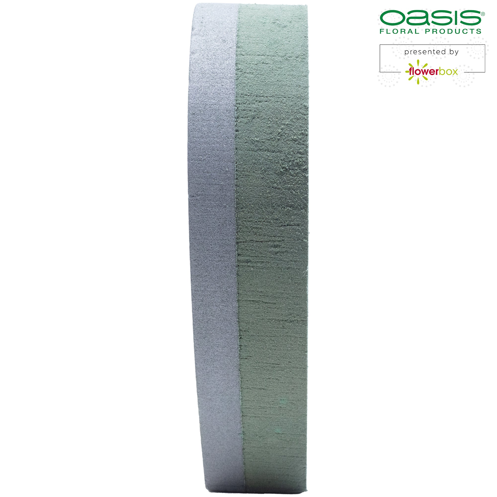 OASIS® FOAM FRAMES Offene Herzen - 24 x 25 x 6 cm - 2 St.