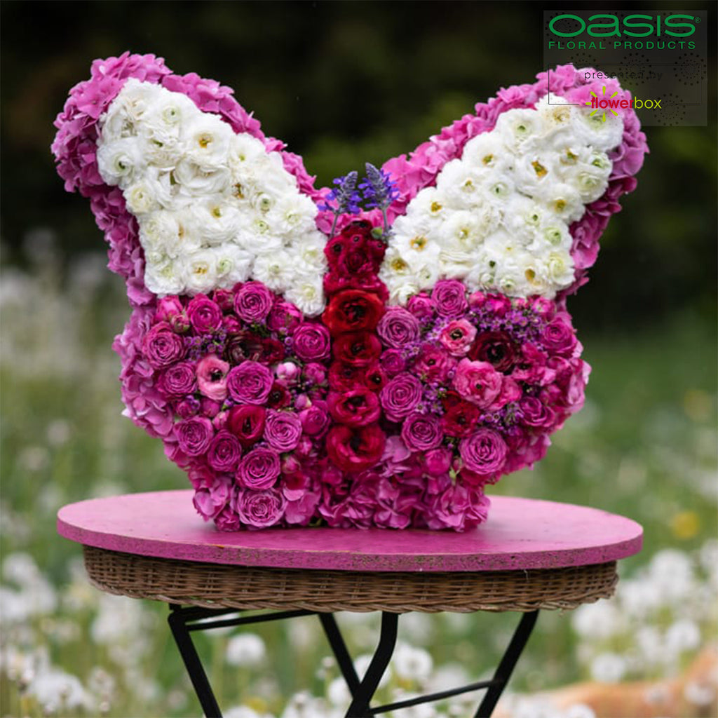 OASIS® butterfly - 34.5 x 27.5 x 6 cm - 2 pcs.