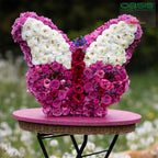 OASIS® butterfly - 34.5 x 27.5 x 6 cm - 2 pcs.