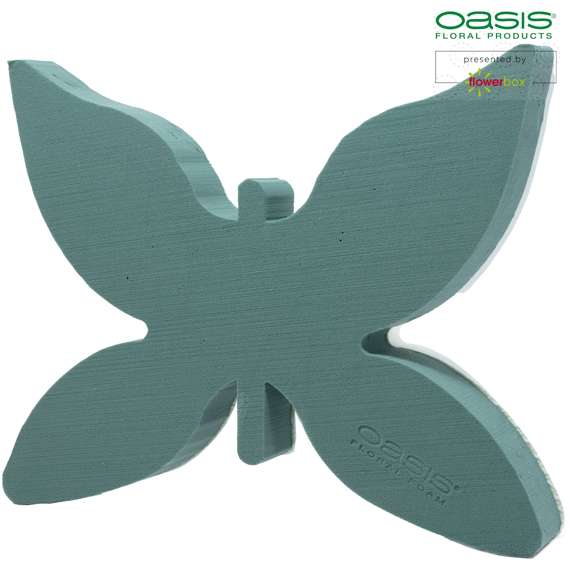 OASIS® butterfly - 34.5 x 27.5 x 6 cm - 2 pcs.