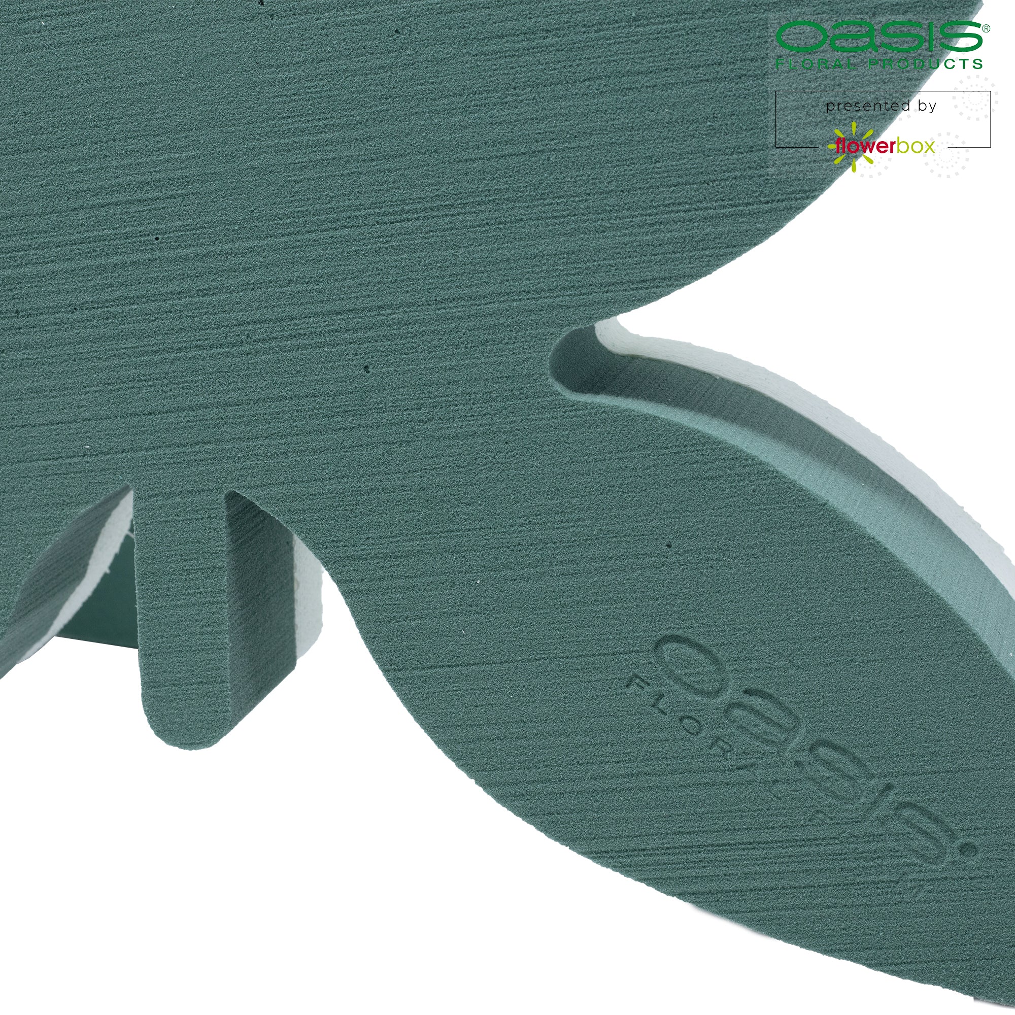 OASIS® butterfly - 34.5 x 27.5 x 6 cm - 2 pcs.