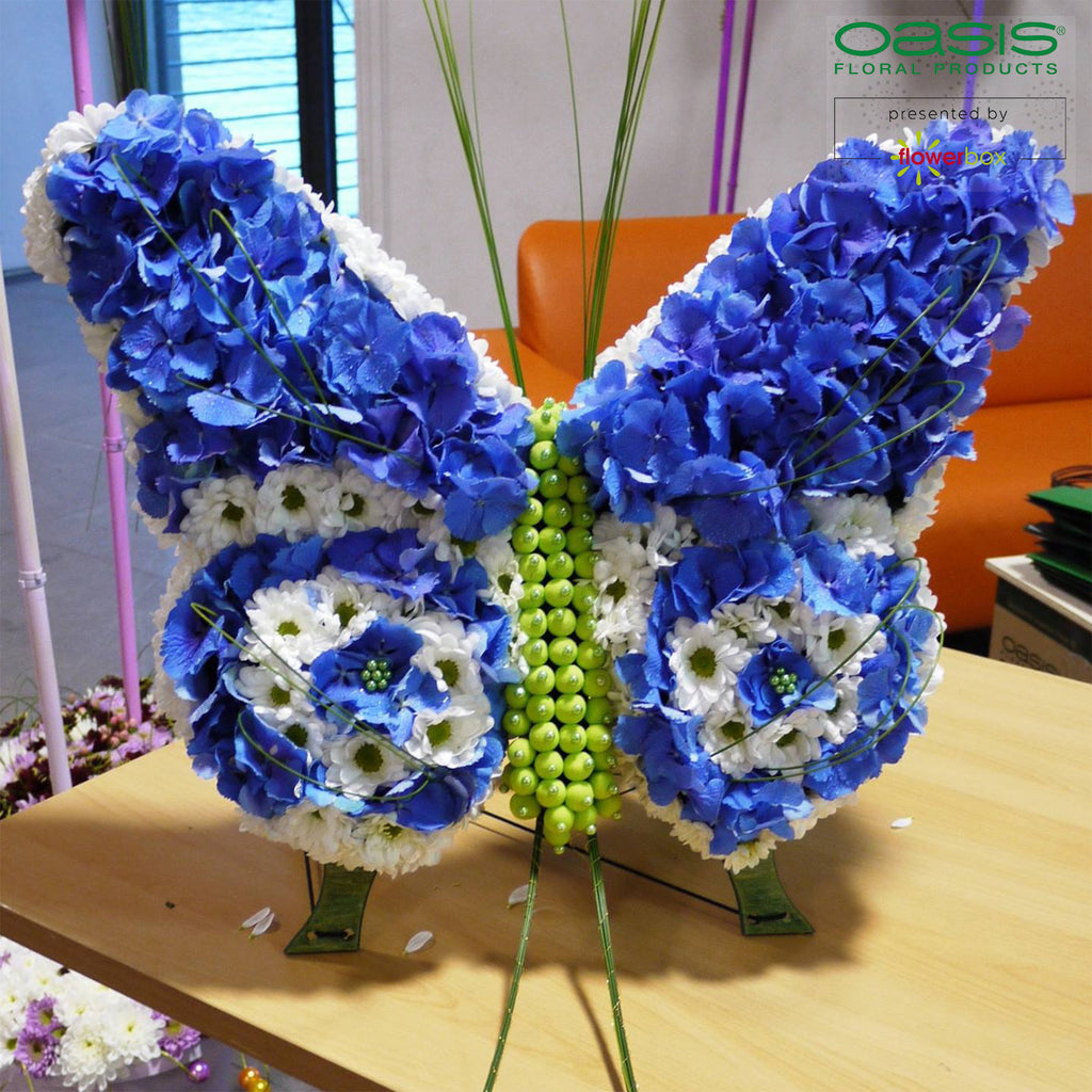 OASIS® BIOLINE® Schmetterling - 56 x 40 x 6 cm