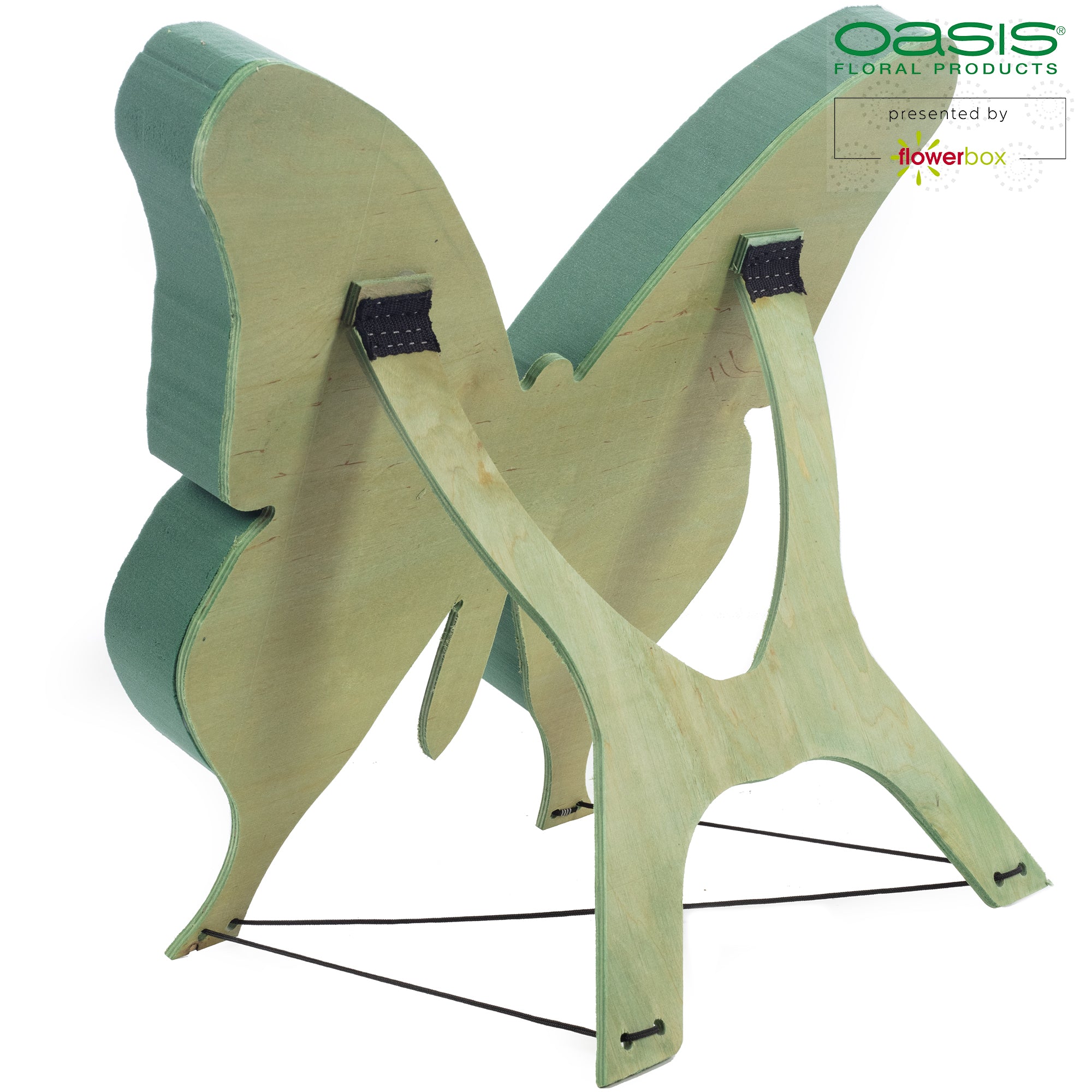 OASIS® BIOLINE® Schmetterling - 56 x 40 x 6 cm