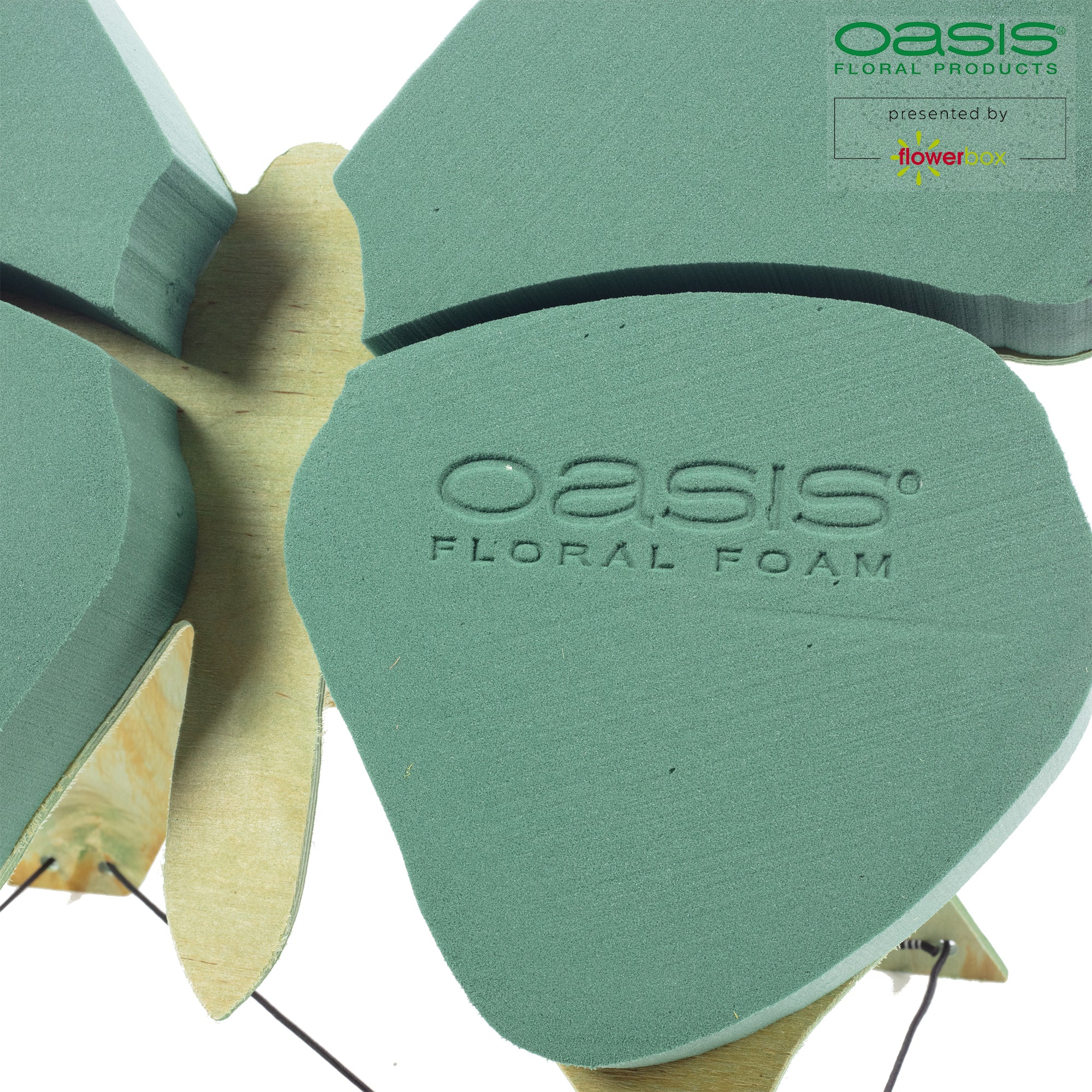 OASIS® BIOLINE® Schmetterling - 56 x 40 x 6 cm