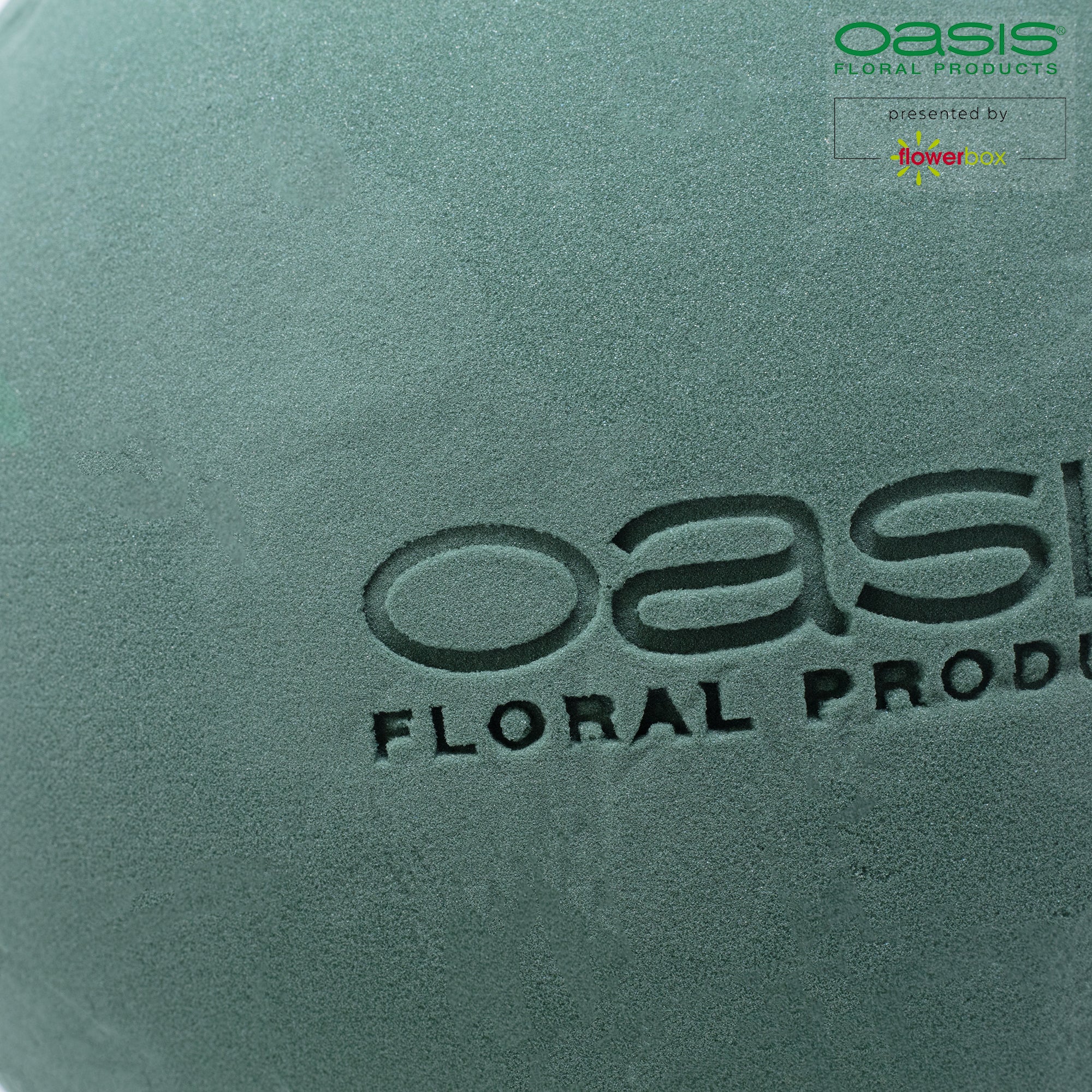 Ballon OASIS® IDEAL - 25 cm Ø