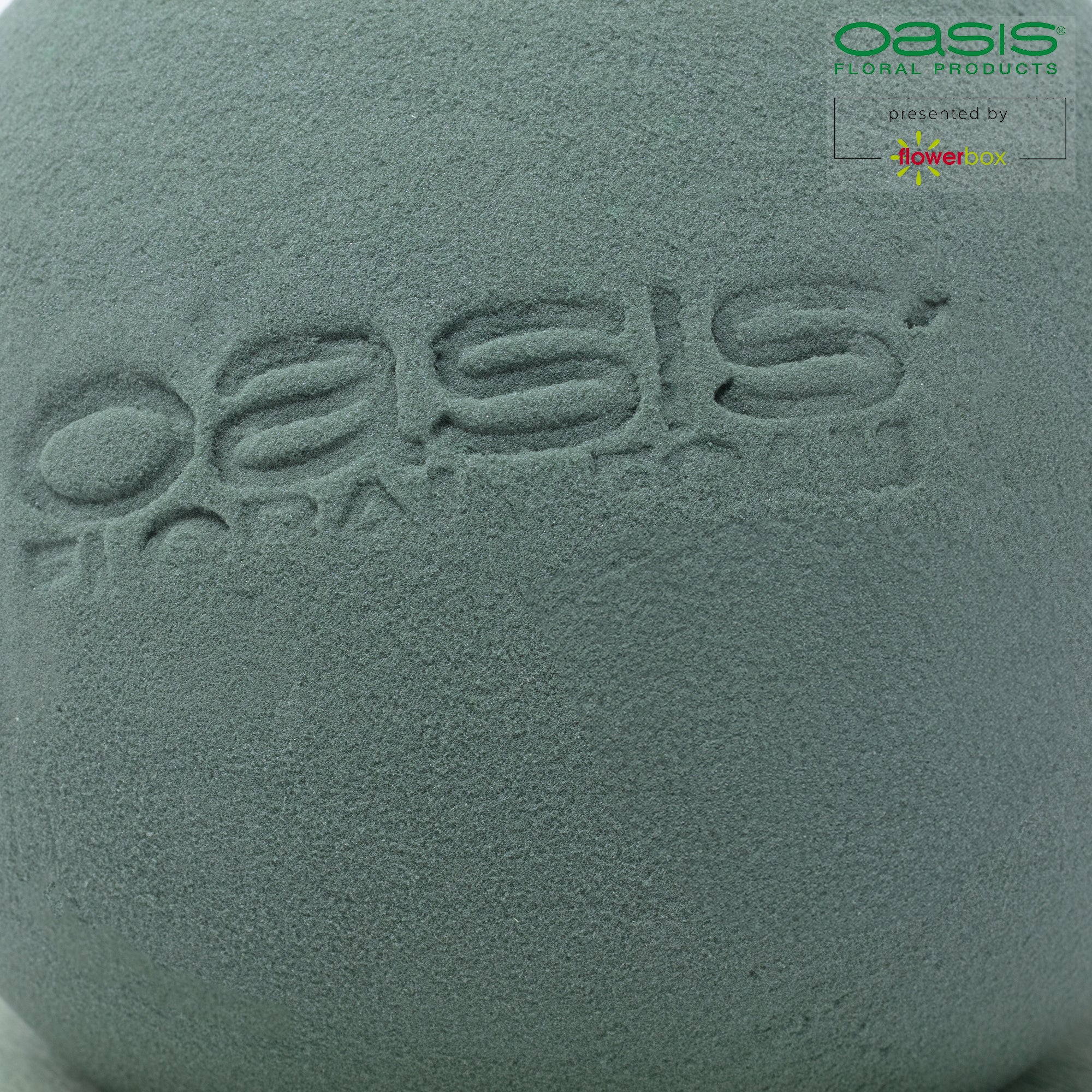 OASIS® BIOLINE® Kugel - 20 cm Ø