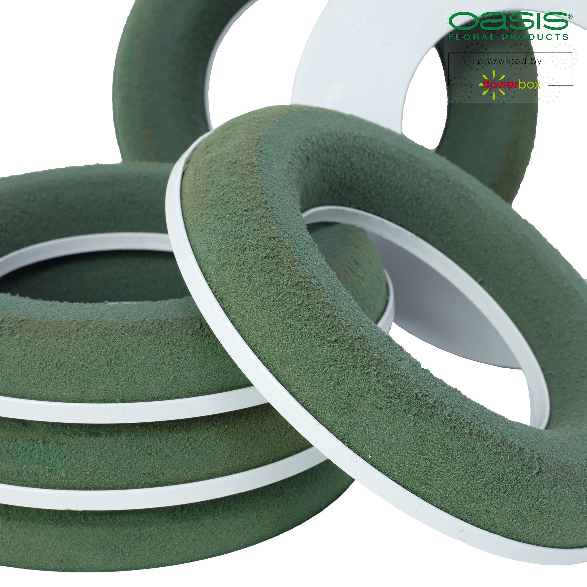 Bague OASIS® IDEAL SOLO - 2,5 x 15 cm Ø, intérieur : 8,7 cm Ø - 6 pièces.
