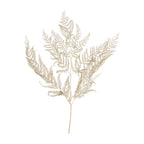 Bracken Farn - 10 Stück/Bund - konserviert - L60 cm, B40 cm - gold