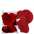 Tree fungus - 1 kg - red