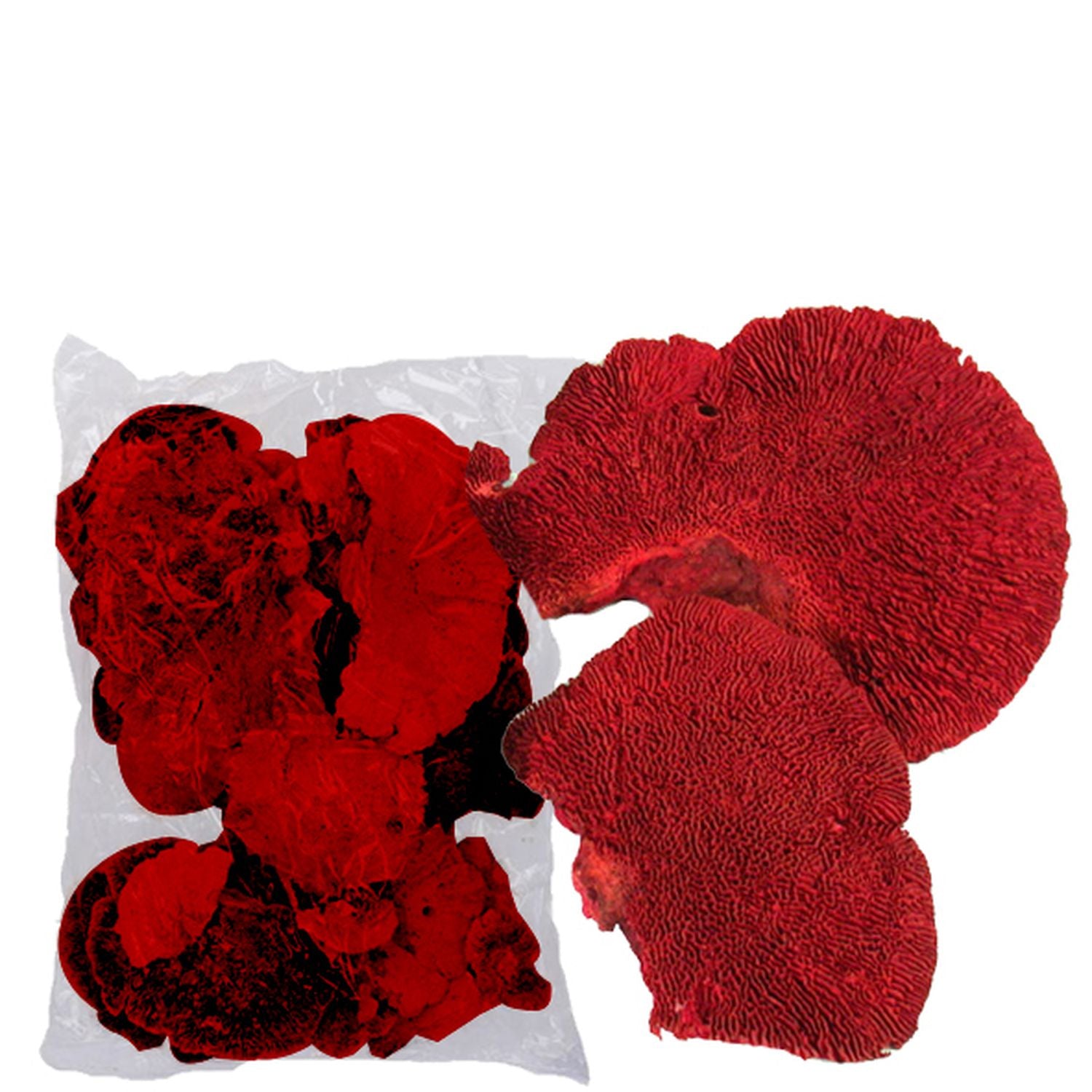 Tree fungus - 1 kg - red