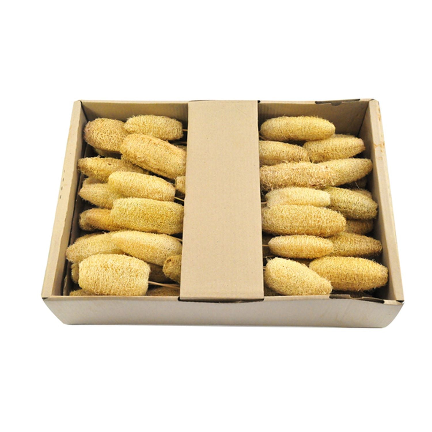 Tête de luffa sur tige - 50 pièces - Poly - naturel